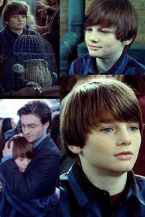 is harry potters son gay
